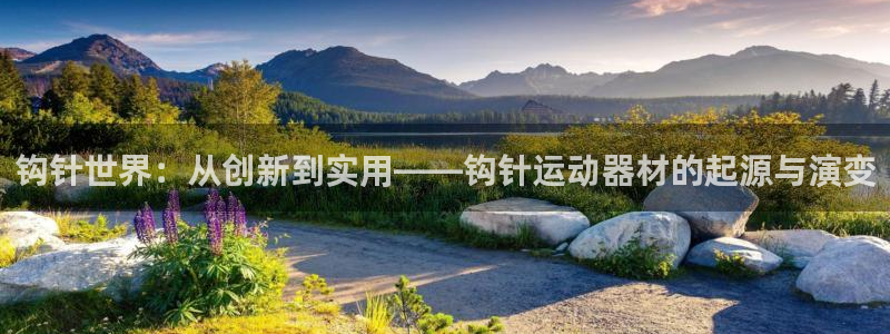 fb体育娱乐首页网站大全:钩针世界:从创新到实用——钩针运动