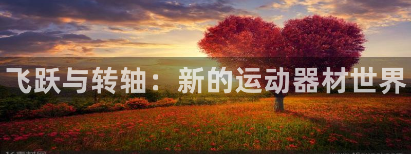 fb体育平台假的吗是真的吗:飞跃与转轴:新的运动器材世界