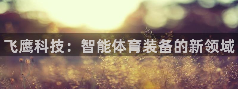 fb体育平台APP:飞鹰科技:智能体育装备的新领域