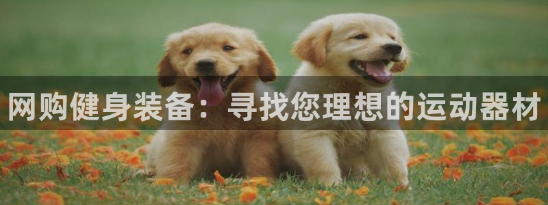 fb体育招商电话号码:网购健身装备:寻找您理想的运动器材
