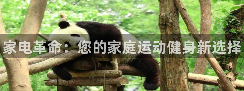 fb体育招商电话地址:家电革命:您的家庭运动健身新选择